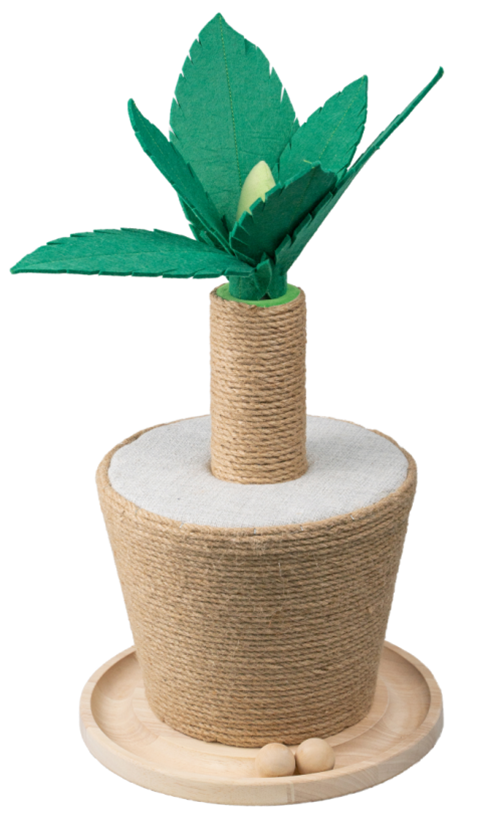 Plantas de maconha moldam Scratcher de gato